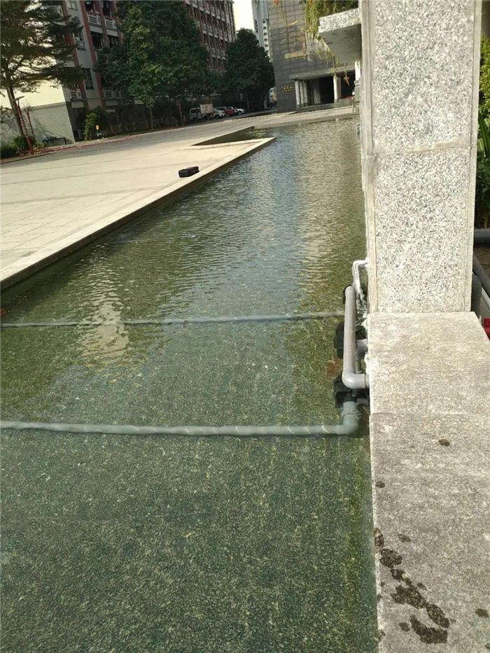 白姐资料一精选资料