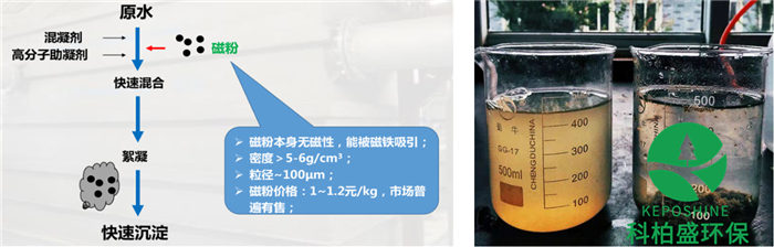 白姐资料一精选资料
