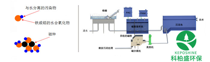 白姐资料一精选资料
