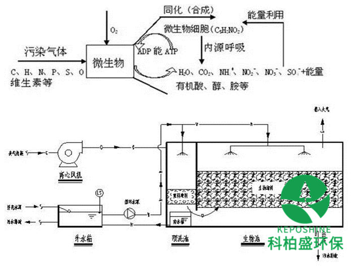 白姐资料一精选资料