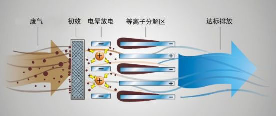 白姐资料一精选资料