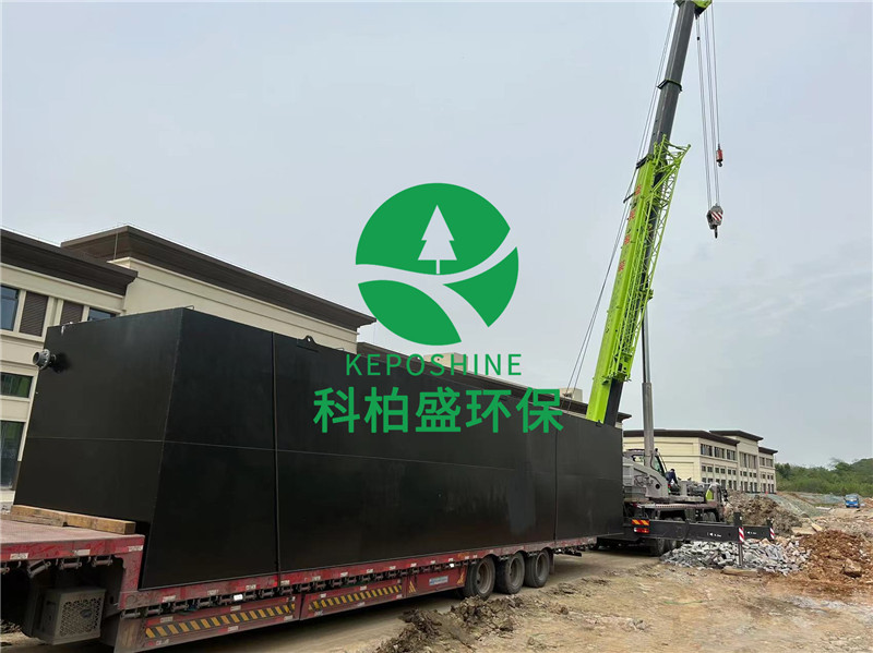 白姐资料一精选资料