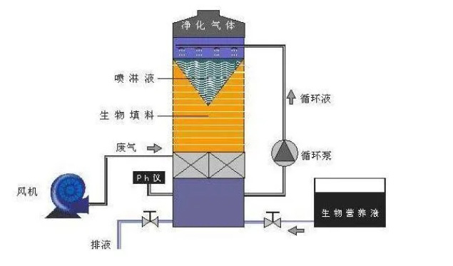 白姐资料一精选资料